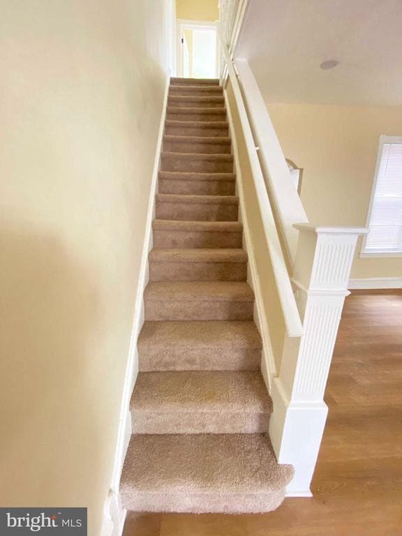 Building Photo - 3543 Stouton St