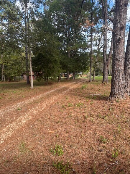 Private Two-rut driveway into property - 13978 Gristmill Creek Rd