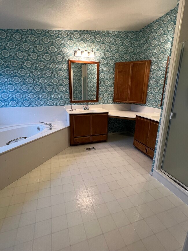 Master bath - 113 Drake Rd
