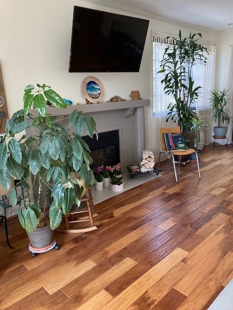 fireplace - 5100 Via Dolce
