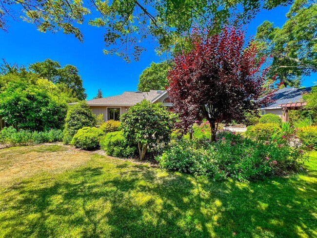 Building Photo - Charming Four Bedroom Home in Napa's Sough...