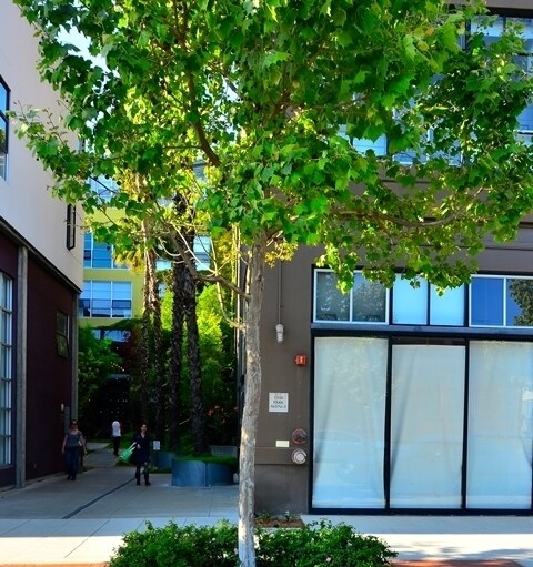 Building Photo - Highly sought after live/work space for le...