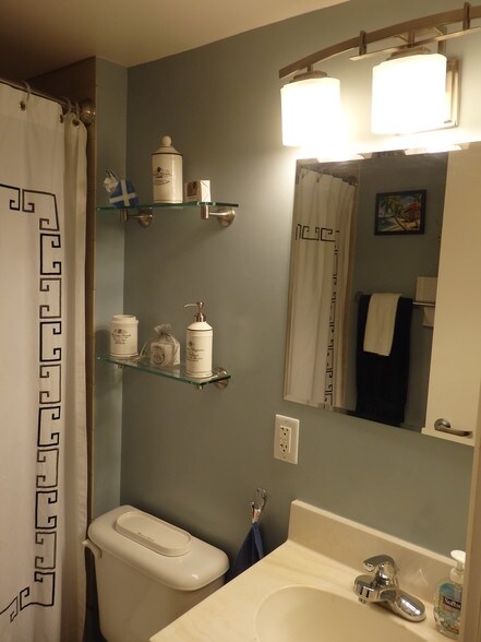 upgraded light fixtures and PB glass shelves - 800 4th St SW
