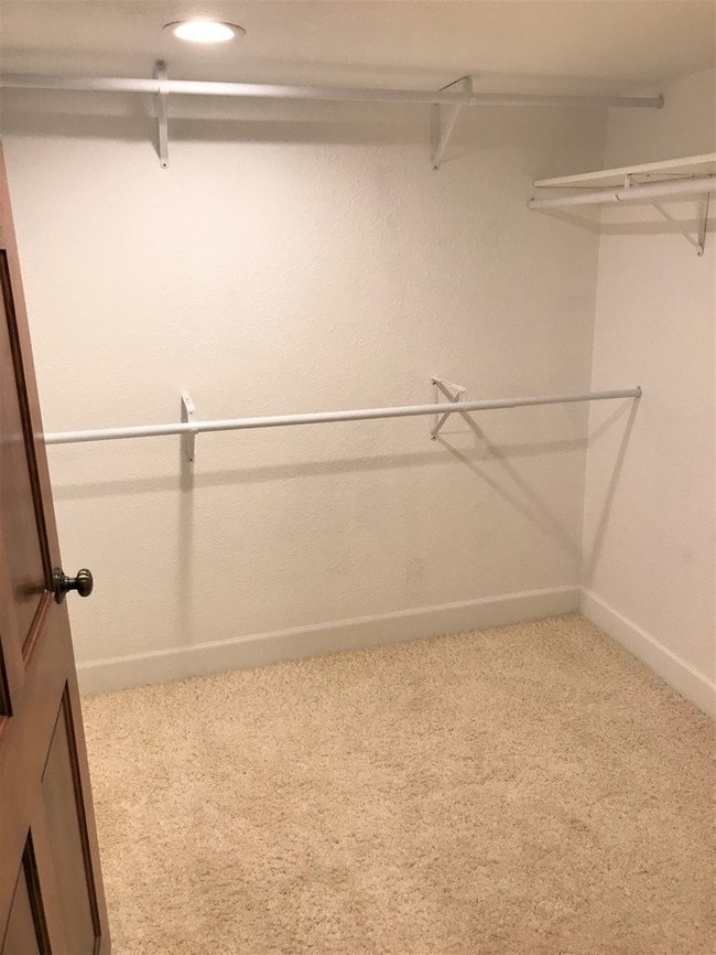 Building Photo - Lovely Basement Apartment in Highlands Ranch