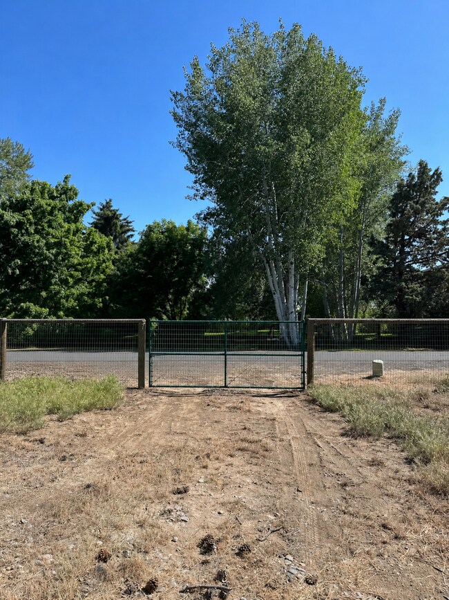 Building Photo - 3 Bed | 2 Bath | 1.17 Acres | Single-Level Home | Mountain Views