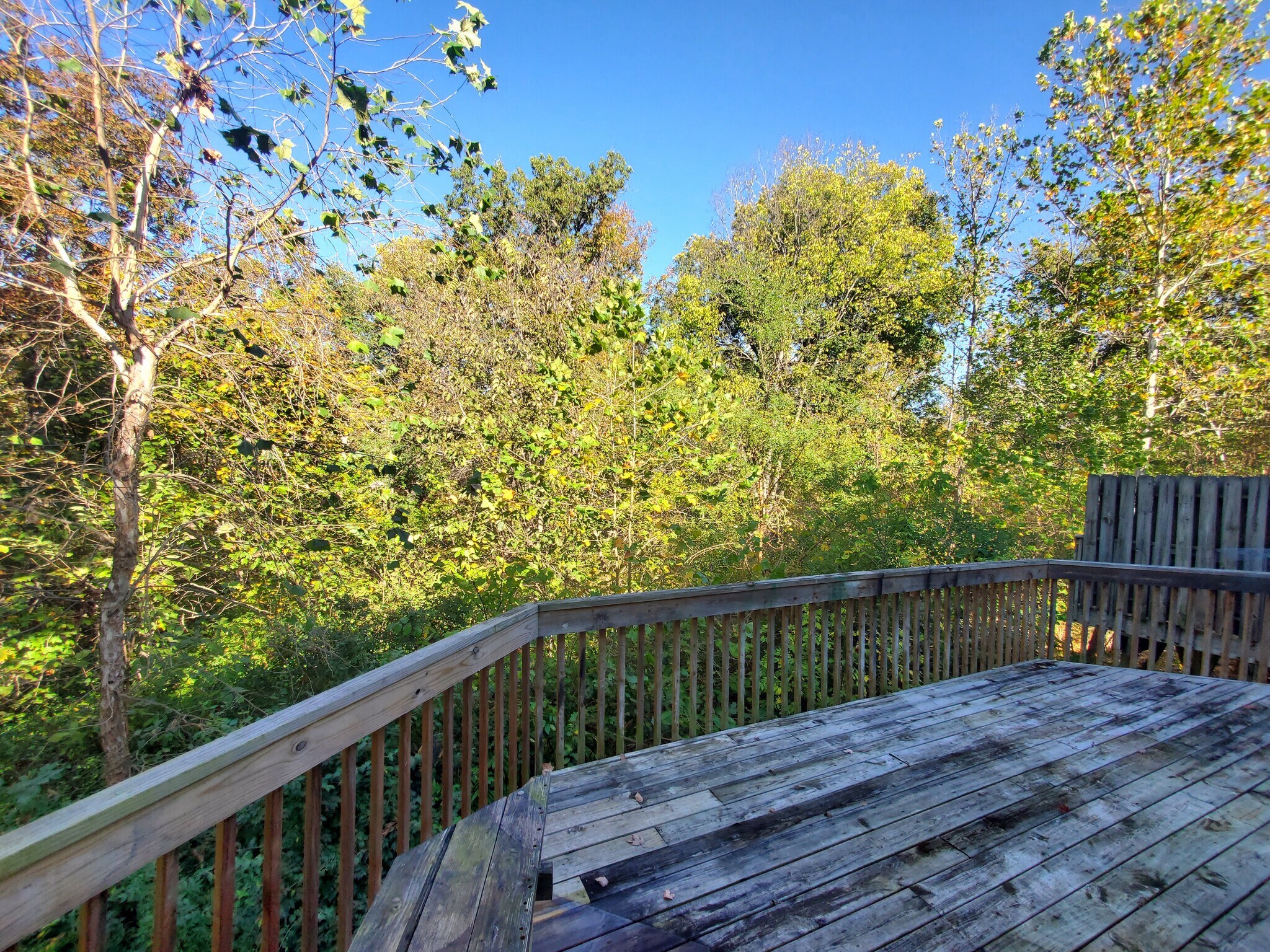Outside Deck - 5328 Godas Cir
