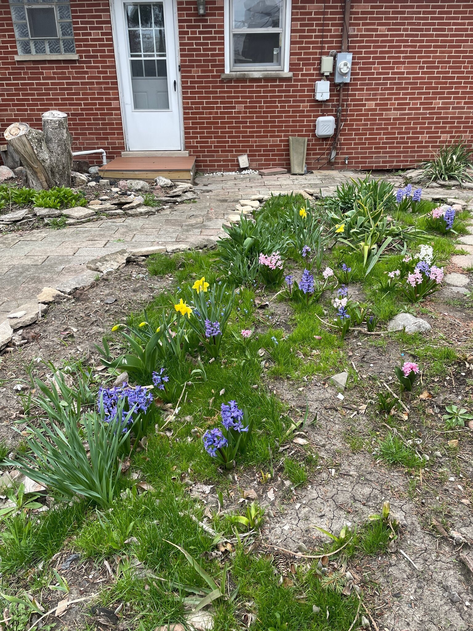 Building Photo - 33 Cranbrook Dr