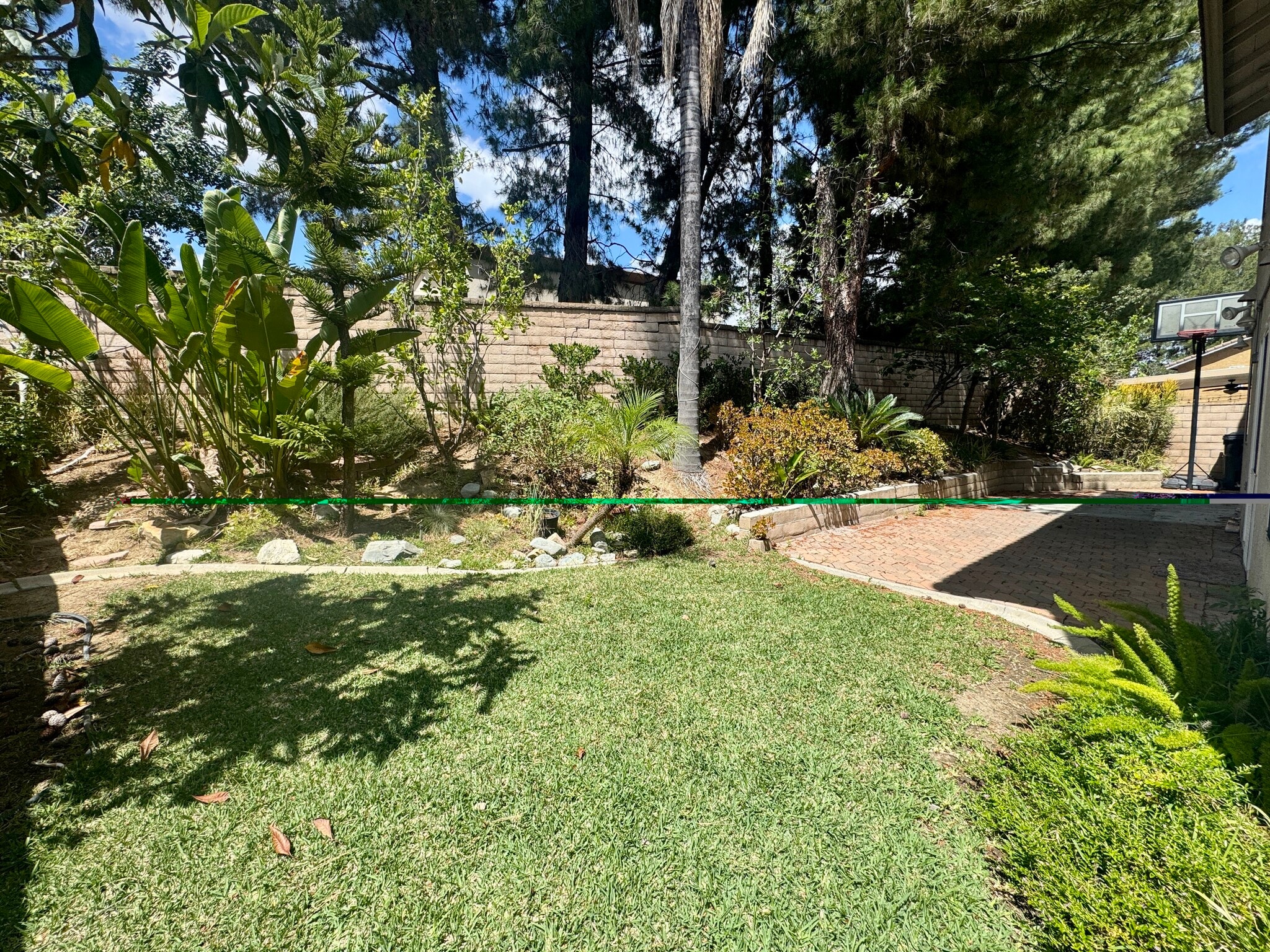 Backyard - 2834 Rolling Meadow Dr