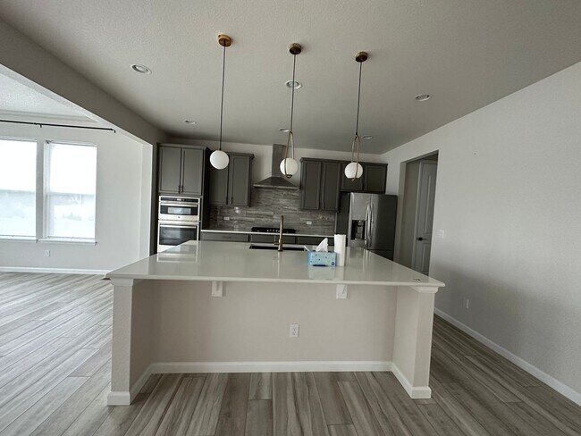 Building Photo - ---UPGRADED HOUSE---Single family house in Parker