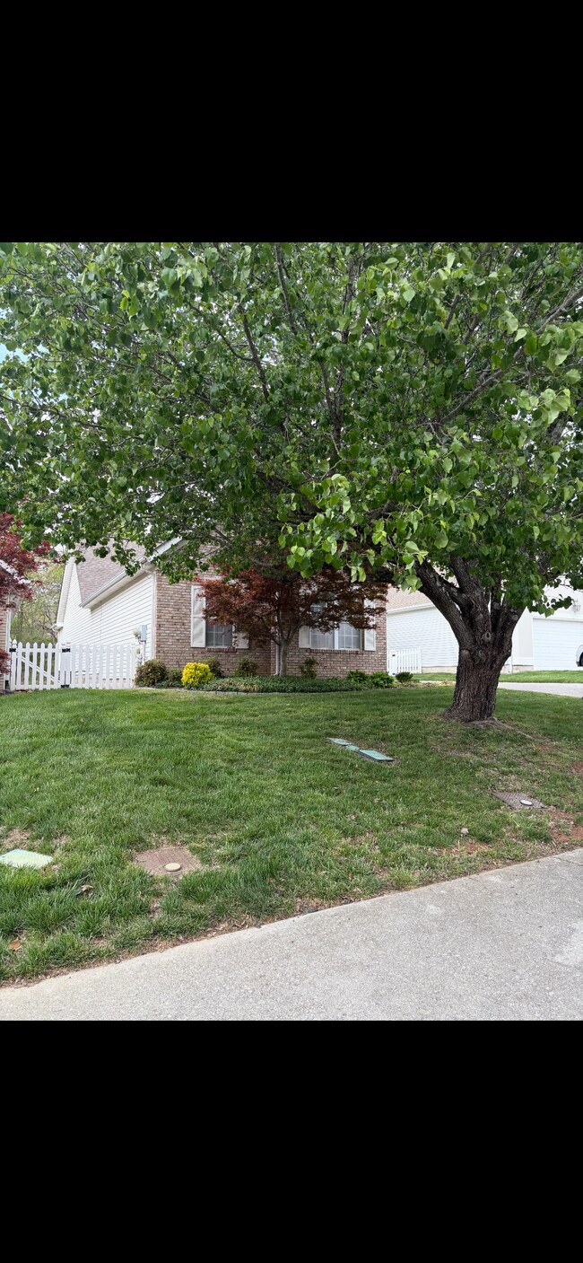 Building Photo - 2619 Kingsley Ct