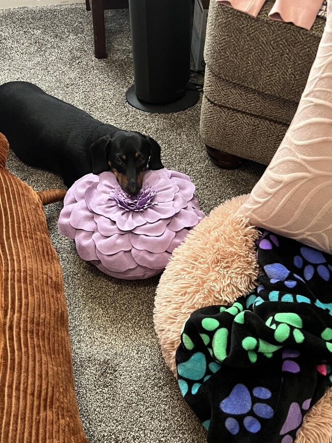 Building Photo - 798 S Coleman St