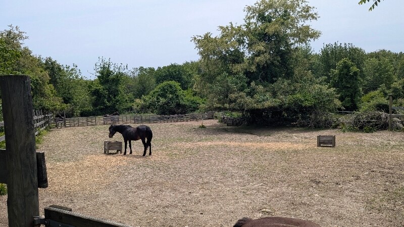 Building Photo - 326 Fish Rd