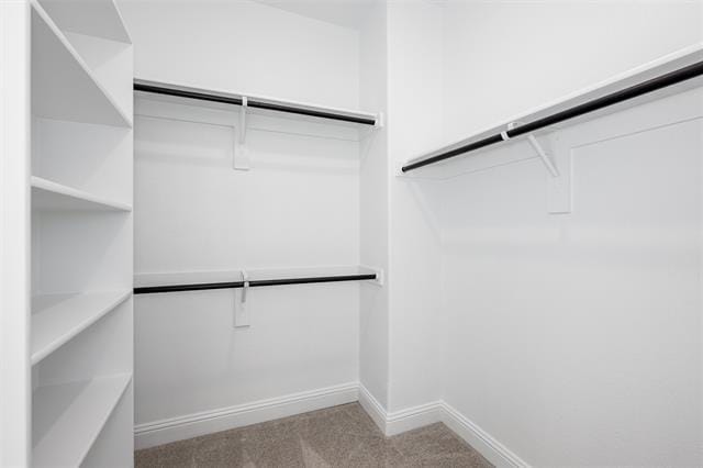 Building Photo - 1013 Rainshower Wy