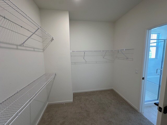 Building Photo - 4151 S Cleome Paseo