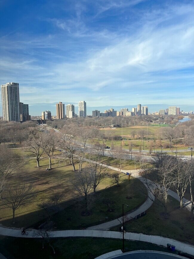 Building Photo - 1550 N Lake Shore Dr