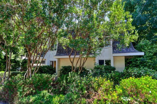 Building Photo - Charming 3 bed / 1 bath Apartment by Downtown