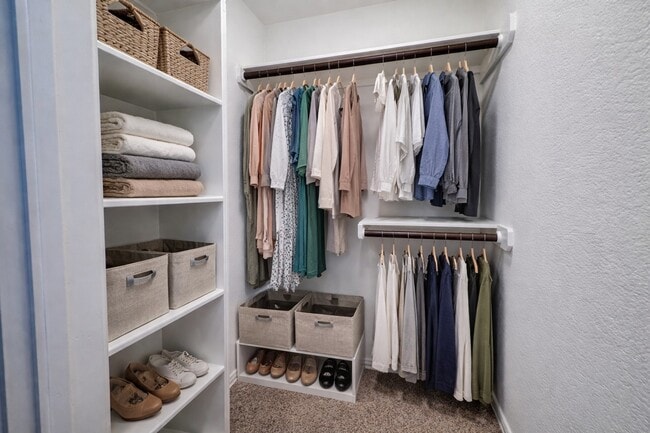 Building Photo - 231 Moon Dance Ct