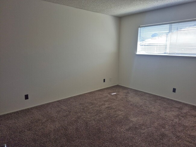 Building Photo - 4688001/70