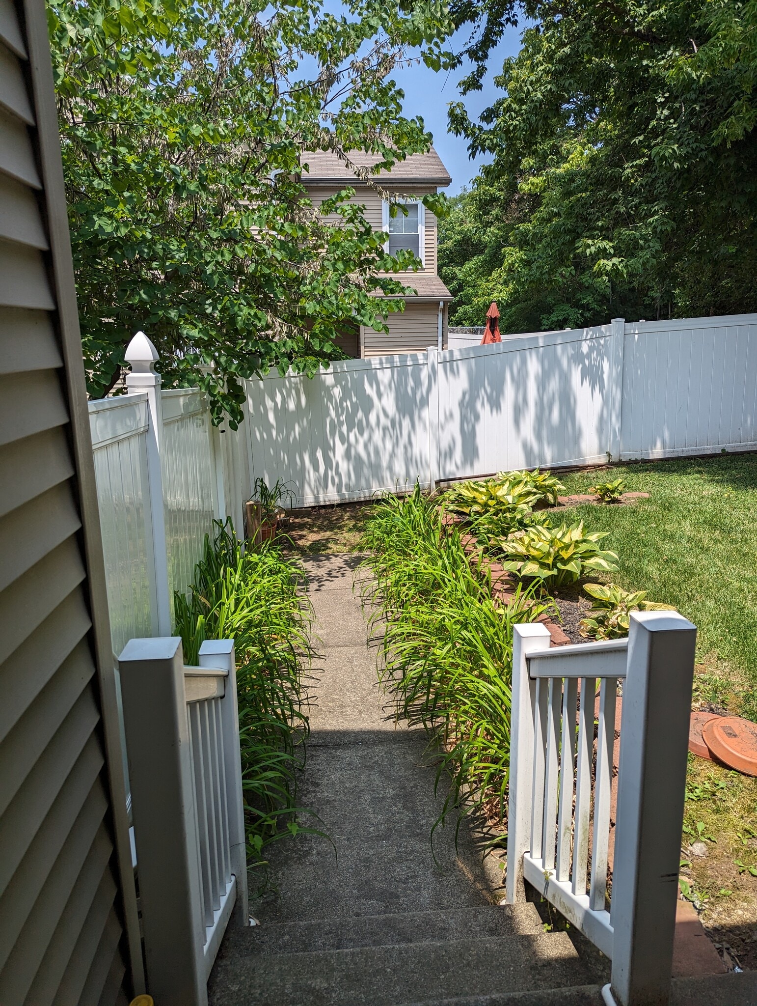 Backyard 1 - 631 N 44th St