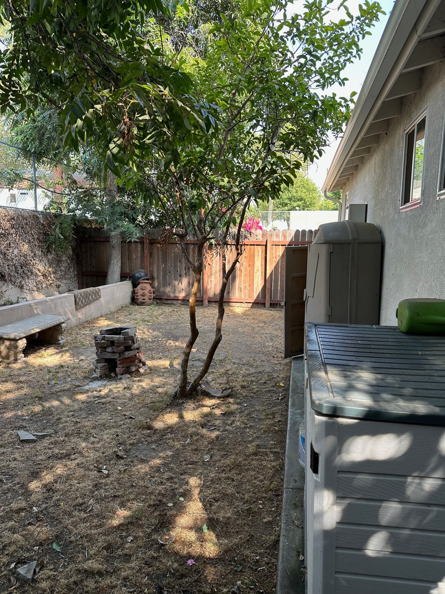 backyard - 111 W Claremont St