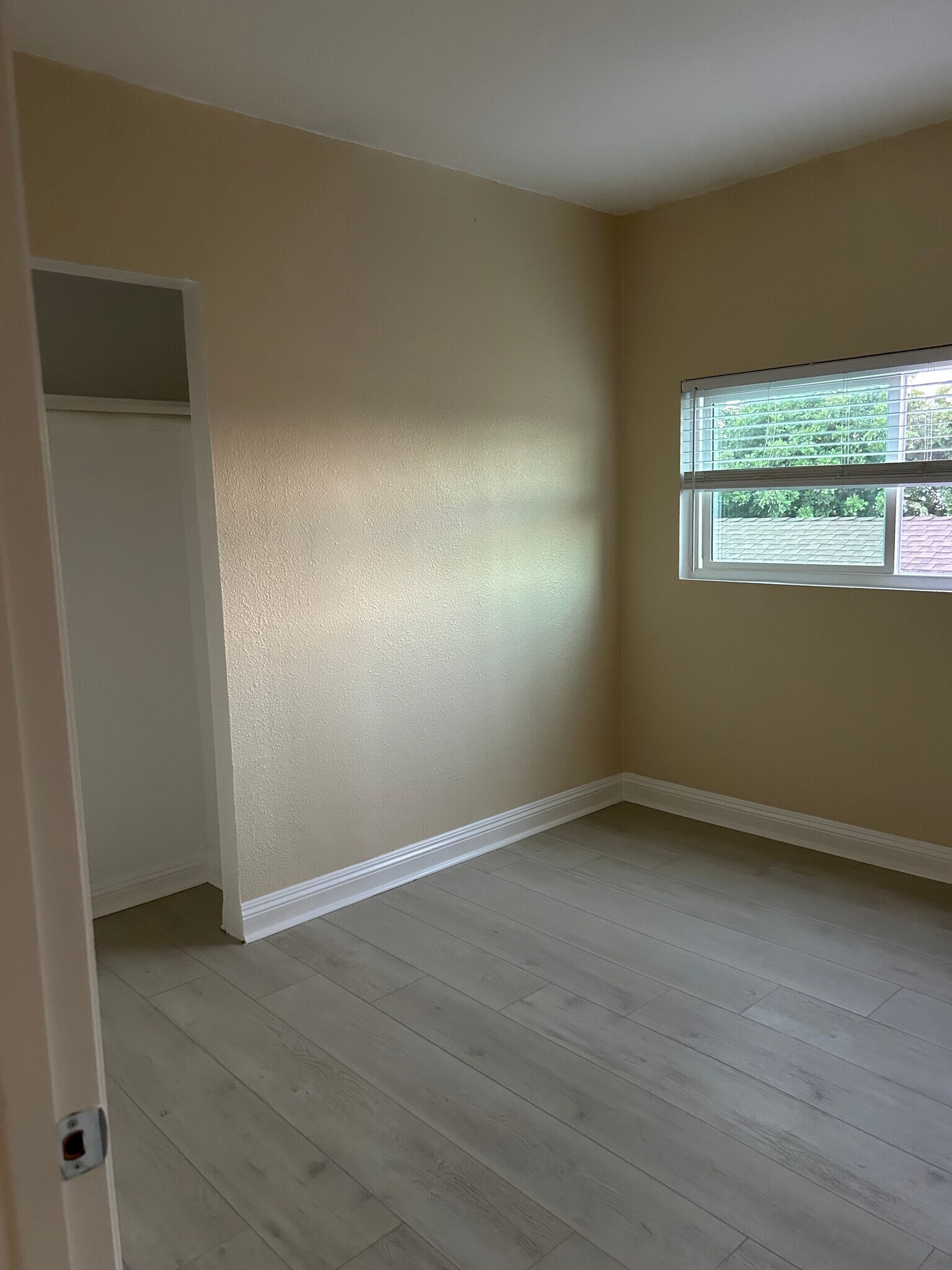 Second Bedroom - 807 Euclid Ave