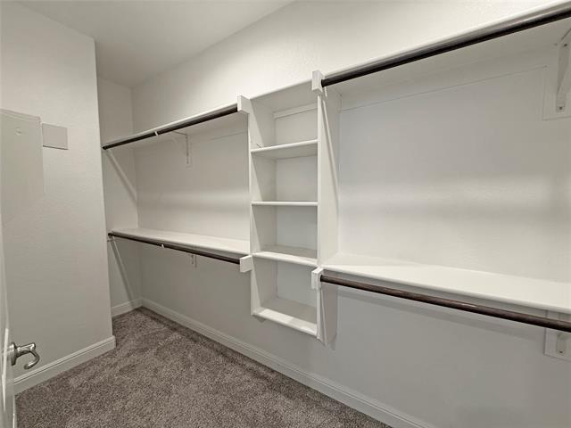 Building Photo - 1413 El Cerrito Ln