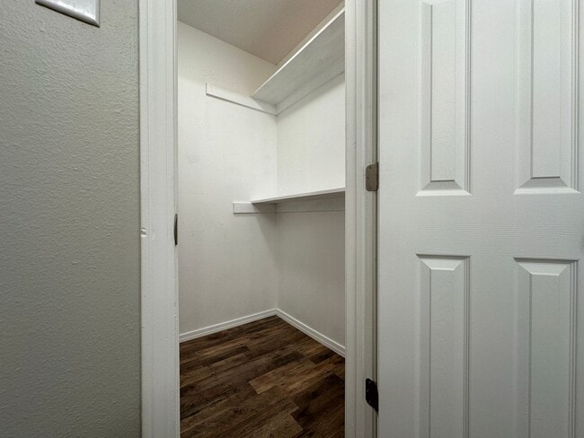 Building Photo - 1707 Plumbark Dr