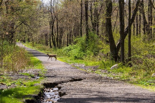 Building Photo - 5 John St