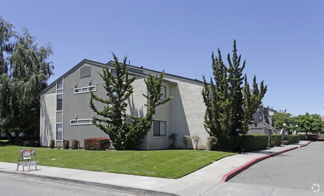 Primary Photo - Trimboli Terrace Apartments
