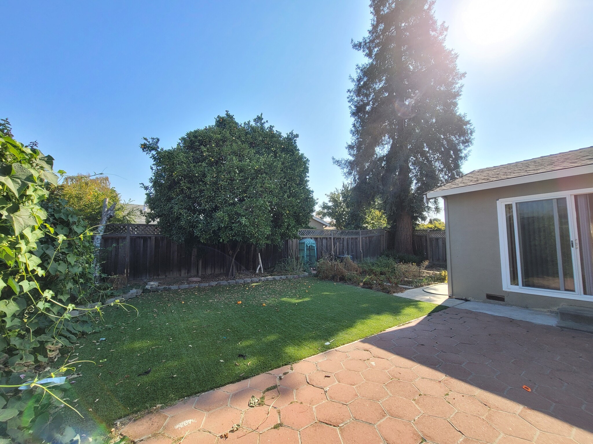 Building Photo - 35688 Ballantine Pl