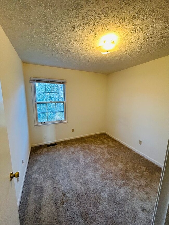 Building Photo - Spacious Townhome in Blacksburg, VA.