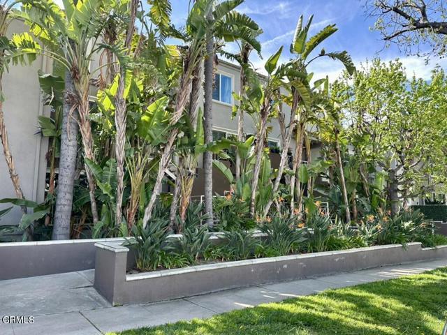 Building Photo - 355 N Maple St