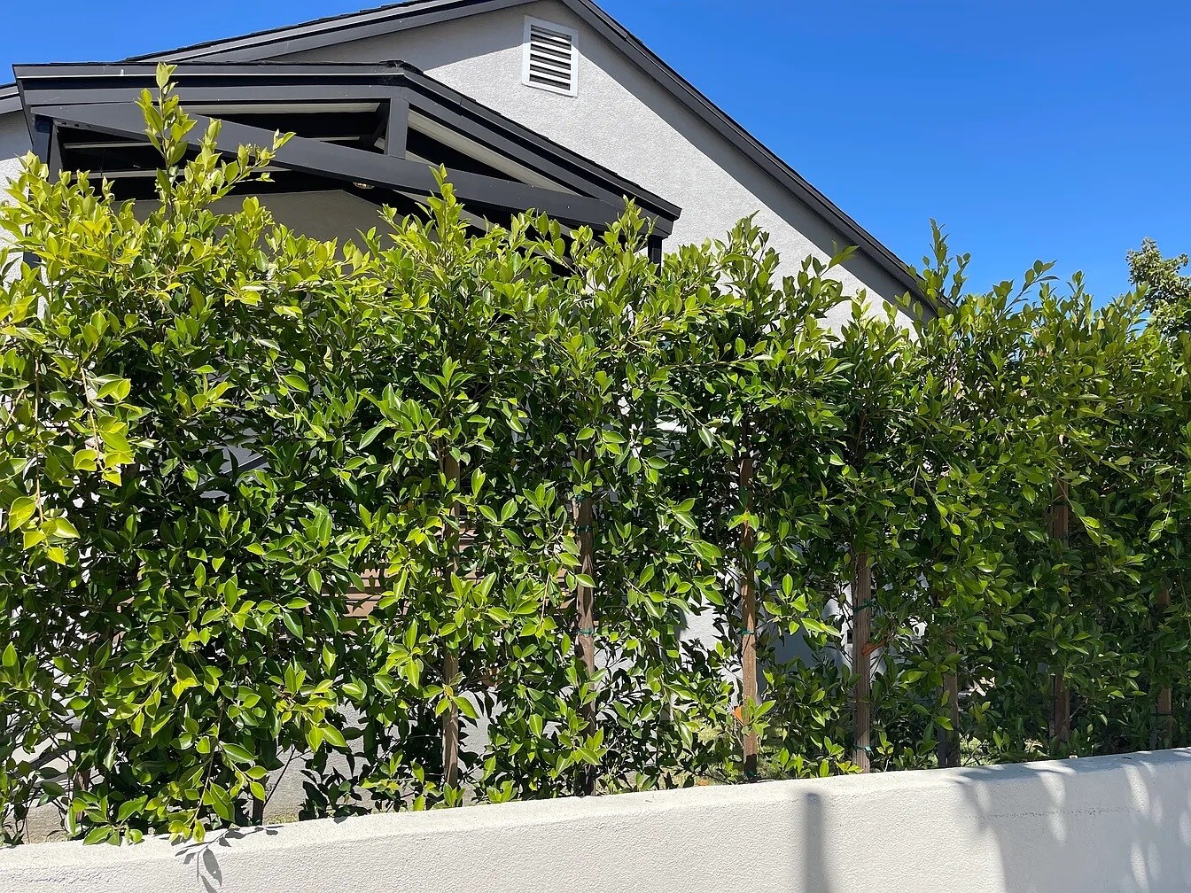 Building Photo - 4216 Sawtelle Blvd