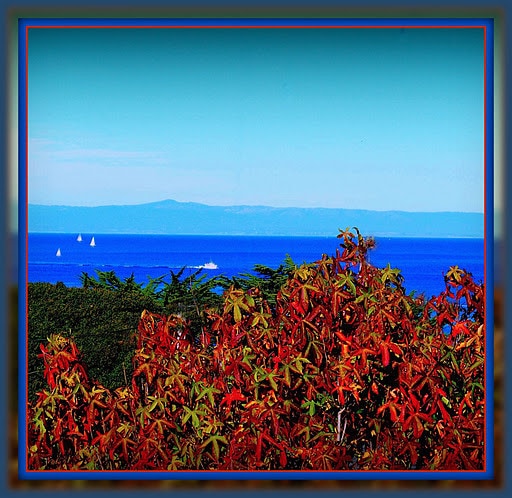 View from Triplex Unit - 137 4th St