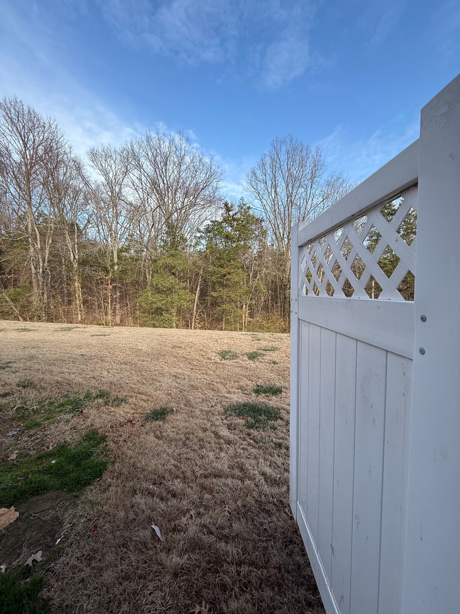 Building Photo - 2028 Shaylin Loop