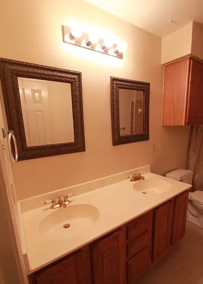 Second bathroom 1 - 3312 Silk Oak Dr
