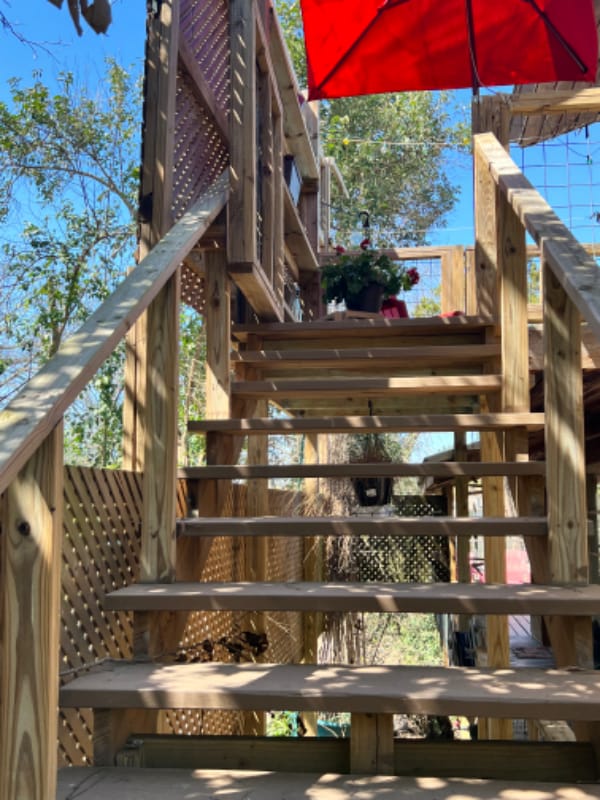 Building Photo - 16142 Spring Branch Trail