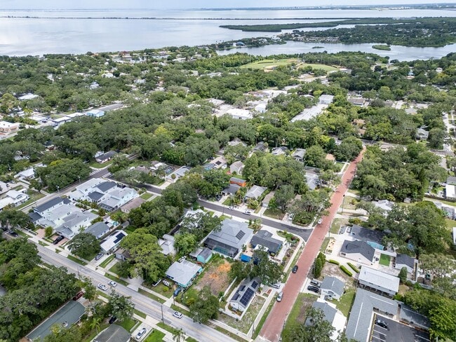 Building Photo - Charming 3BD/2BTH Home with Private Backyard in the Heart of Safety Harbor