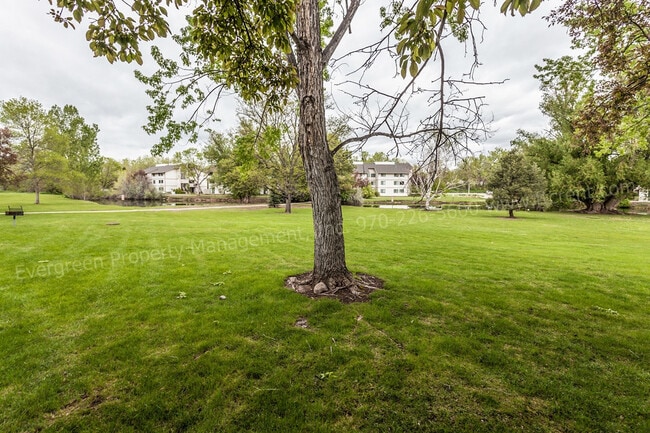 Building Photo - 1705 Heatheridge Rd