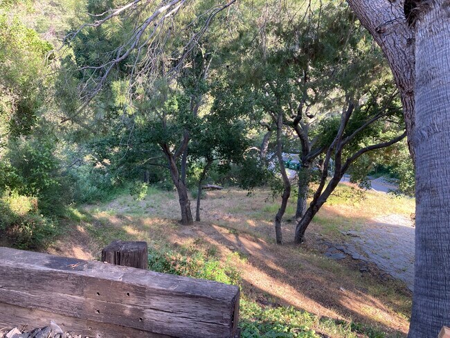 View from lower garden - 21621 Circle Trl