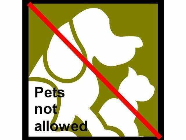 Building Photo - 99 SE Mizner Blvd