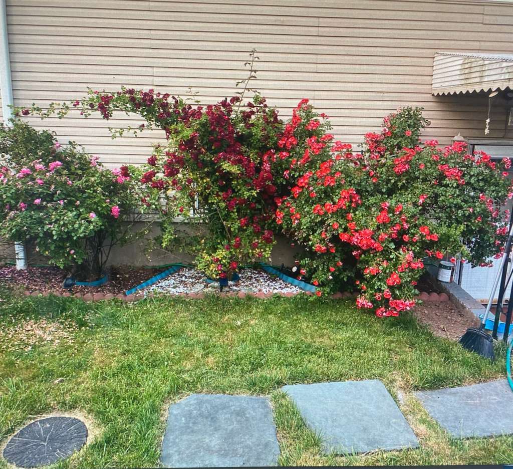 Building Photo - 1108 Frank St