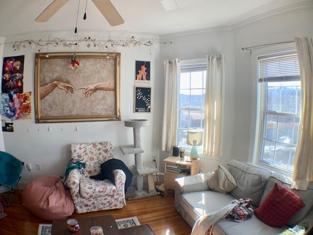 Building Photo - 200 Hyde Park Ave