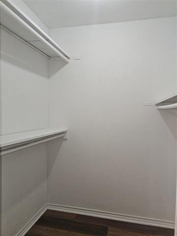 Building Photo - 3014 Ripplewood Dr