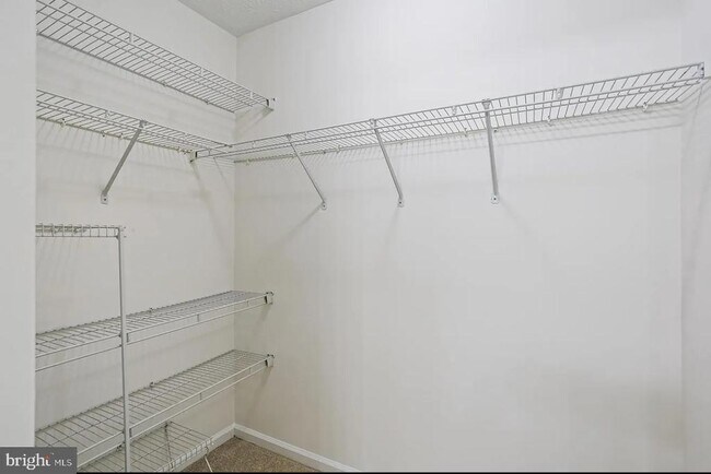 Building Photo - 15 Silver Birch Ct