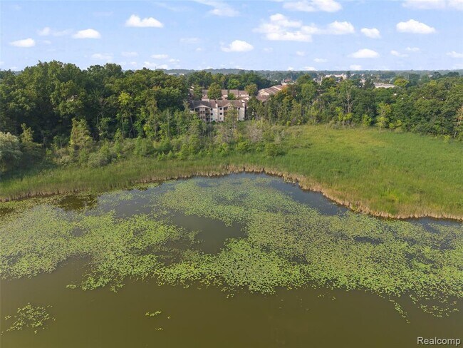 Building Photo - 4911 Oak Hill Dr