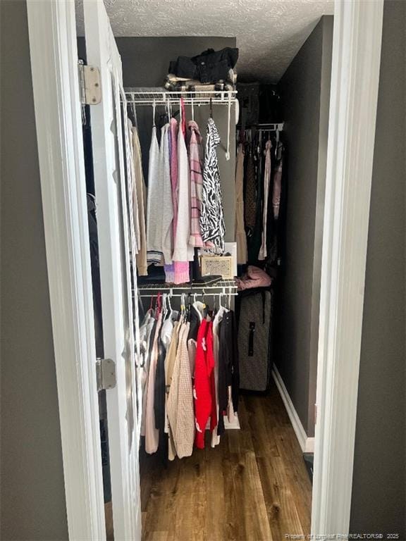 Building Photo - 1041 Screech Owl Dr