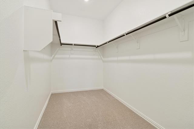 Building Photo - 520 Blanton St