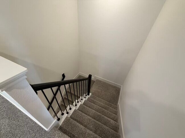 Building Photo - 3539 Adelie Ln