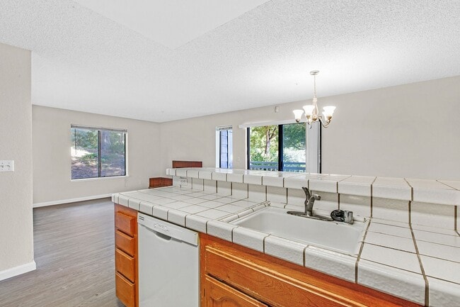 Building Photo - Fabulous condo at the Saddleback complex